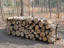 Wstrzymanie sprzedaży detalicznej drewna